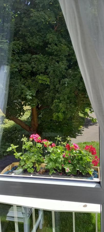 Na Lesnej Leilighet Kowary Eksteriør bilde